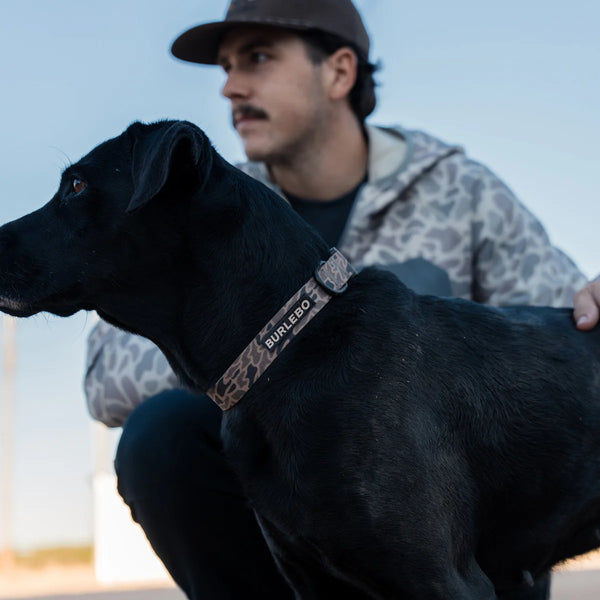 Dog Collar