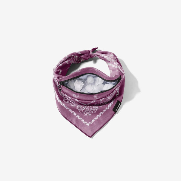 Ice Bandana Towel