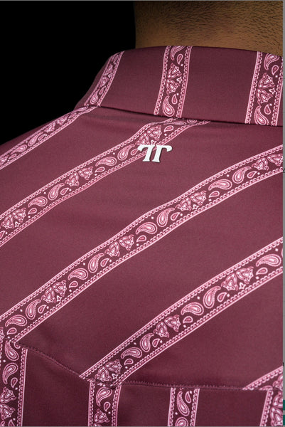 The Hays Polo