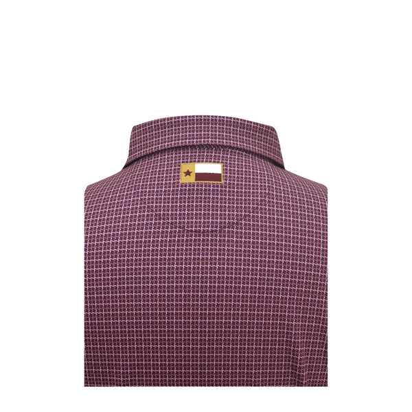 Texas State Window Pane